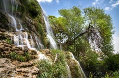 a waterfall with a tree in the middle of it
