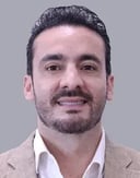 Retrato oficial de José Antonio López Ruíz