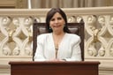 Retrato oficial de Beatriz Manrique Guevara